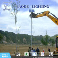 7m 40W Solar LED Street Lights (BDSL-342)